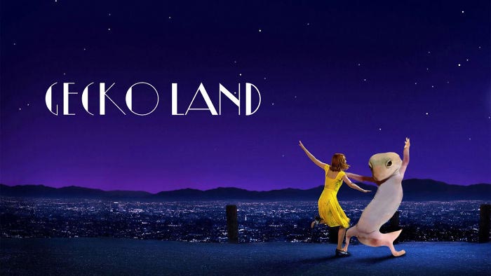 смешное геккон, фотогеничный геккон, геккон битва фотошоперов