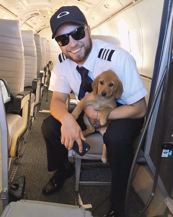 животные пассажиры самолётов, самые необычные пассажиры самолётов