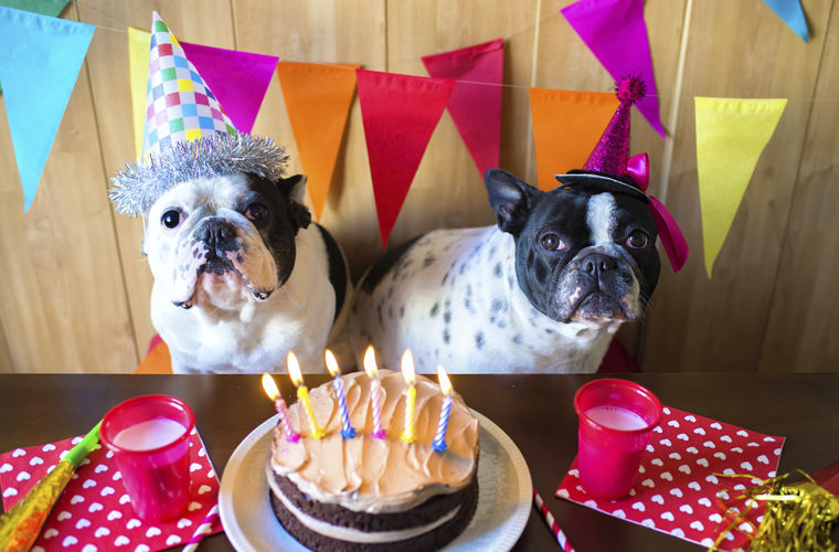 Национальные табу или чего нельзя делать в Бразилии чего нельзя делать в Бразилии, запреты Бразилии