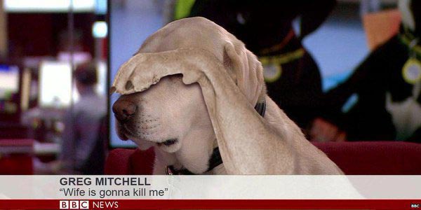 собака Роберта Дауни мл