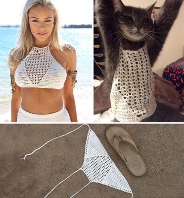 20 весело обманутых людей, горько пожалевших о своих покупках в интернете пожалели о покупках в интернете, обман покупки в интернете, обман заказ в интернет-магазине