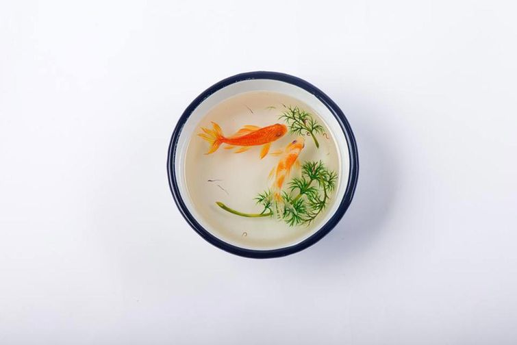 журнальные столы, необычные журнальные столы, журнальные столы иллюзия, дизайн журнальных столов