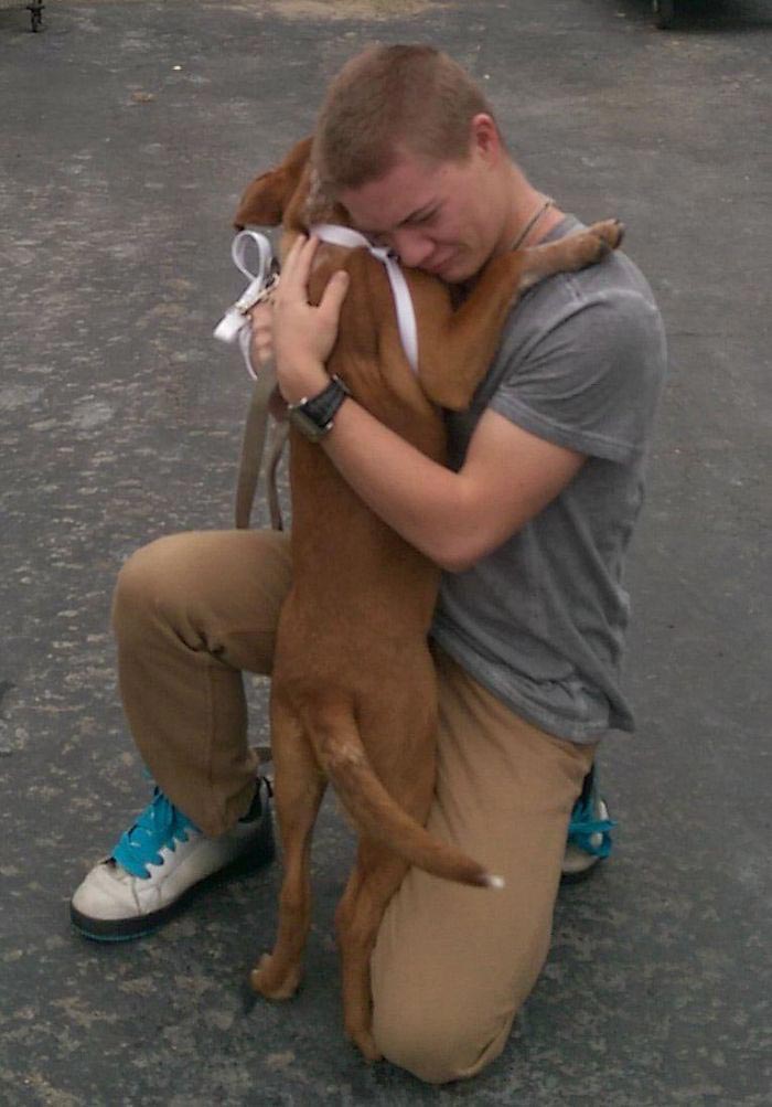 люди впервые встретились со своими собаками, люди приняли собак из приюта