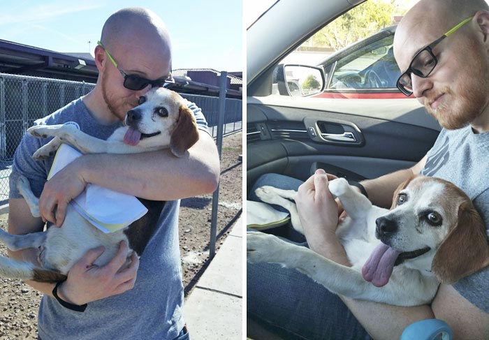 люди впервые встретились со своими собаками, люди приняли собак из приюта