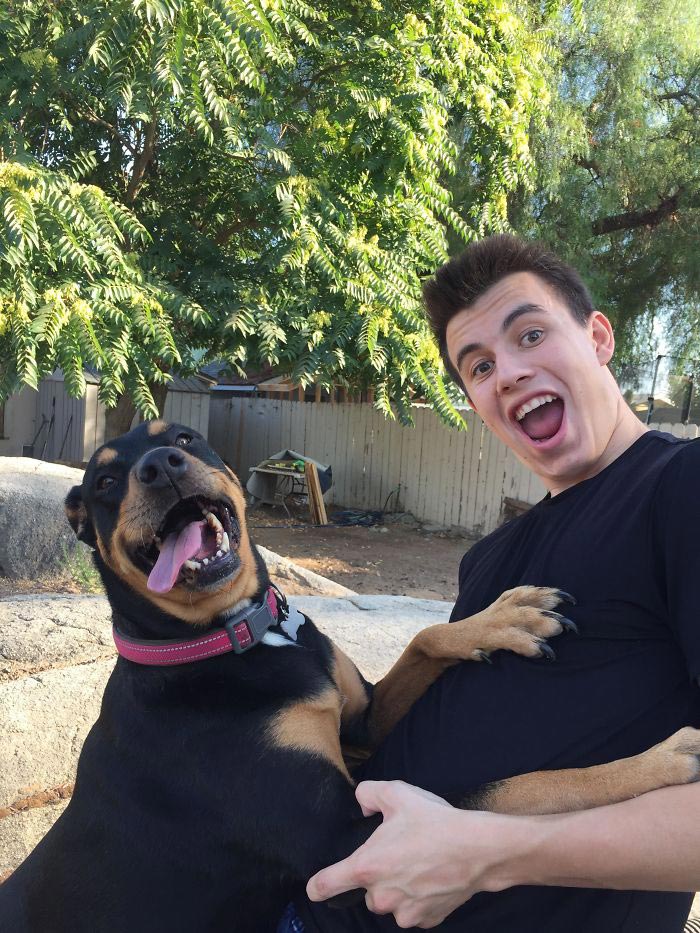 люди впервые встретились со своими собаками, люди приняли собак из приюта