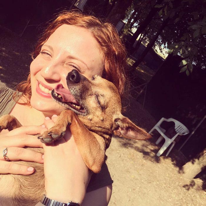 люди впервые встретились со своими собаками, люди приняли собак из приюта