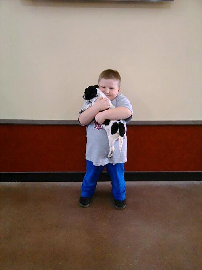 люди впервые встретились со своими собаками, люди приняли собак из приюта