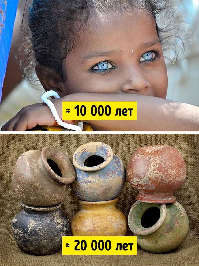 неожиданные факты, бредовые факты