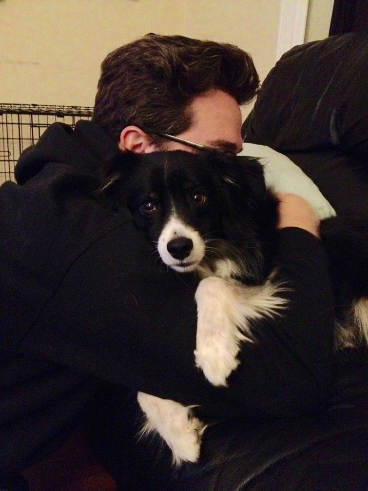 Собачьи обнимашки или доказательства того, что собаки тоже любят обниматься собачьи обнимашки, собаки обнимаются, собаки обнимаются фото