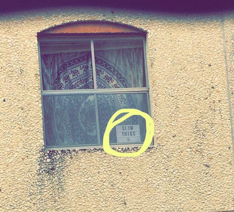 хитрая идея, способ получить что хочется, ленивые студентки, студентки вывесили табличку