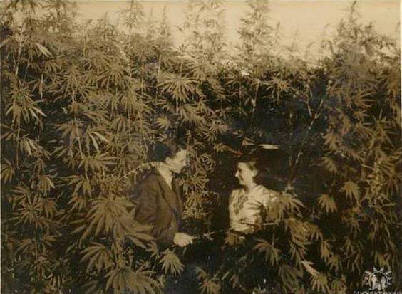 Исторические кадры, редкие архивные фотографии, исторические события, редкие фото звёзд