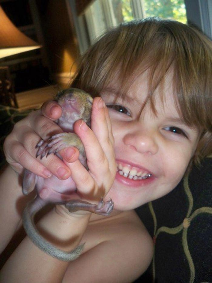  8 лет эта белка приходит к людям которые её спасли, Белка Белла