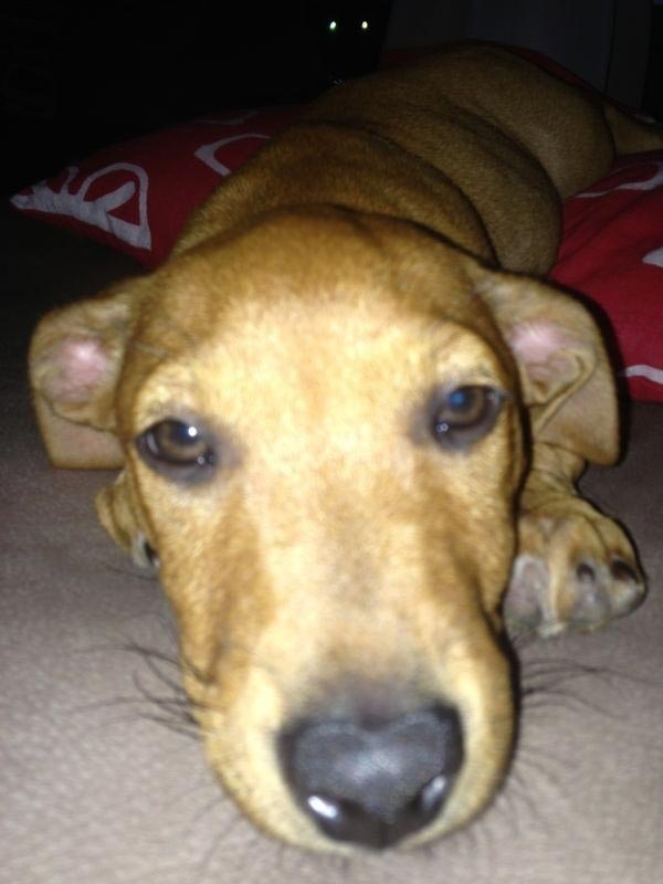 Смешные, находчивые и просто безумные фотобомбы, которые заставят вас взглянуть на фото дважды смешные фотобомбы, безумные фотобомбы