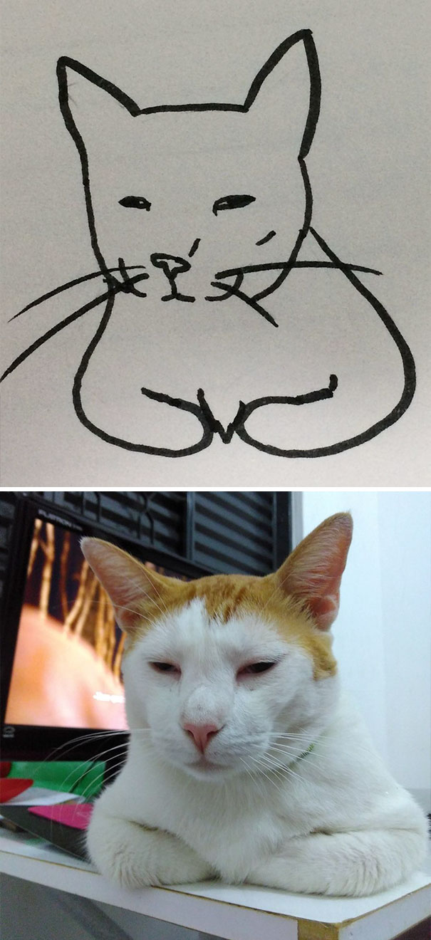 Котики которые рисовать