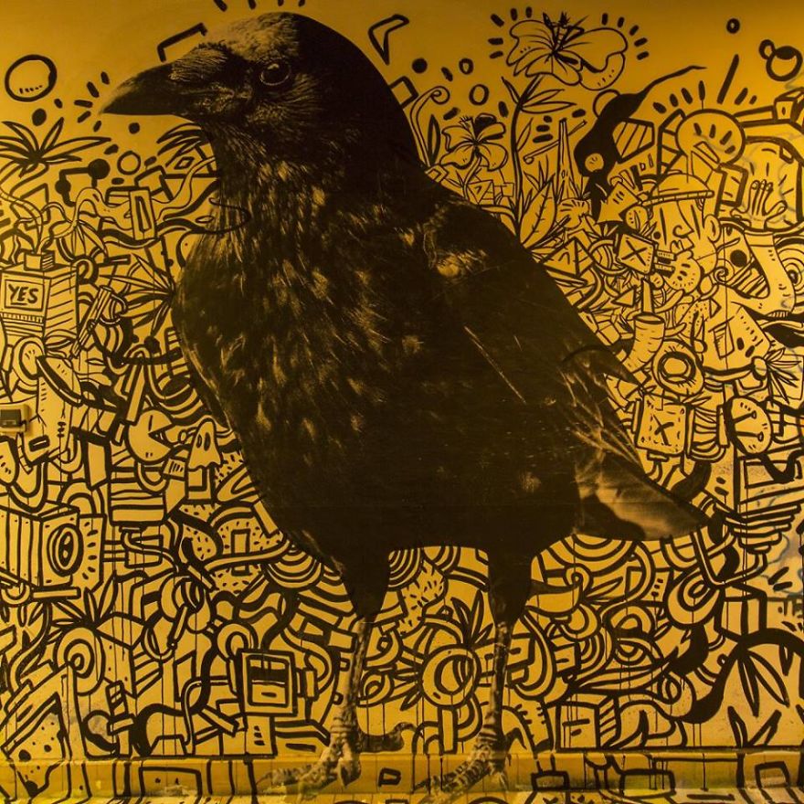 100 граффити-художников разрисовали университетский городок, Cité Universitaire