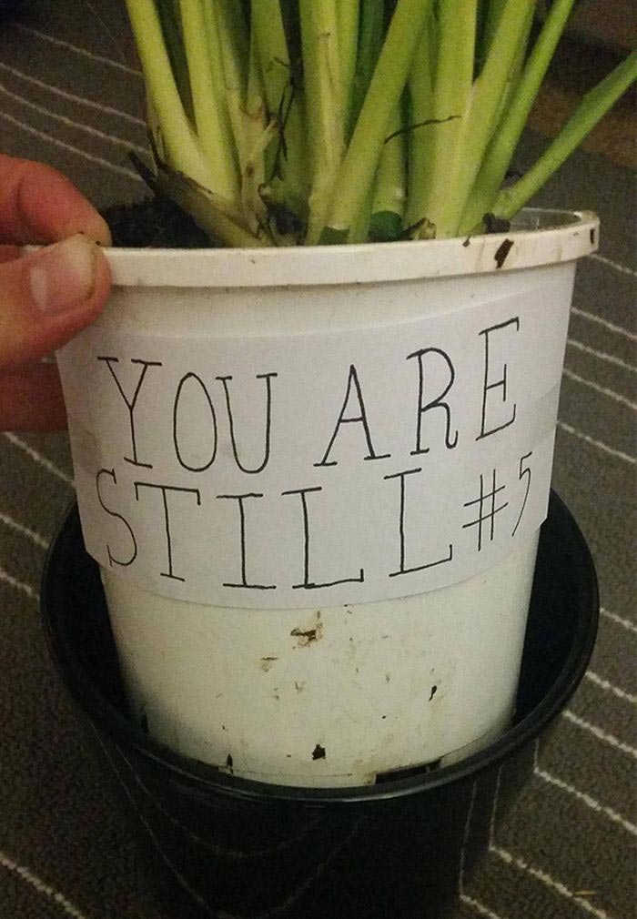 смешные розыгрыши, розыгрыши над людьми, смешные розыгрыши над, как разыграть сестру, как разыграть брата