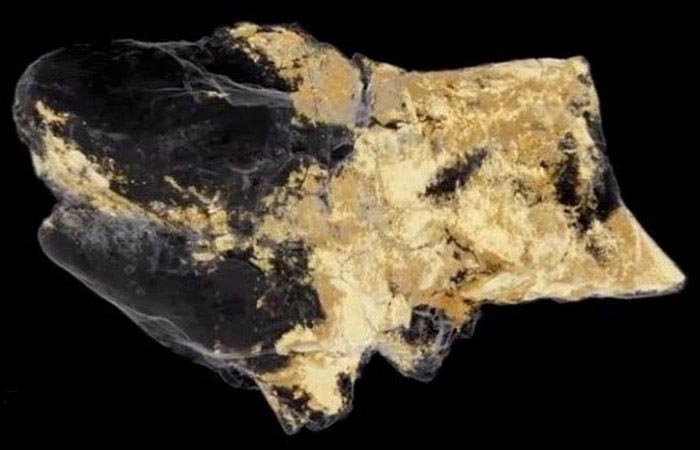 10 ценных исторических находок, которые показали миру совсем недавно ценные исторические находки, исторические артефакты