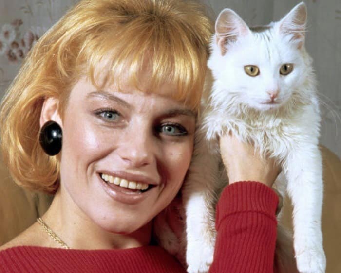 5 известных российских актеров, которые пережили клиническую смерть актёры пережившие клиническую смерть, российские знаменитости пережившие клиническую смерть