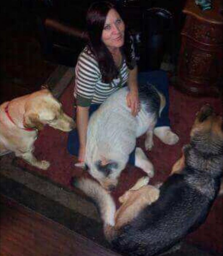 домашняя свинья, свинья Похлебка, свинья считает себя собакой, свинья дружит с собаками