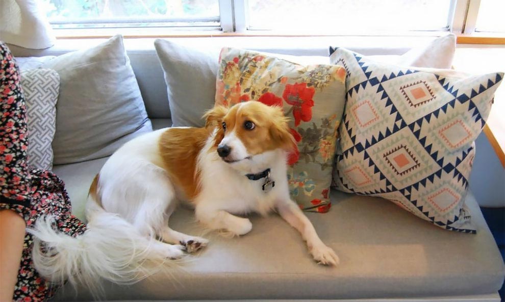 дом на колесах из школьного автобуса, превратили школьный автобус в дом на колесах