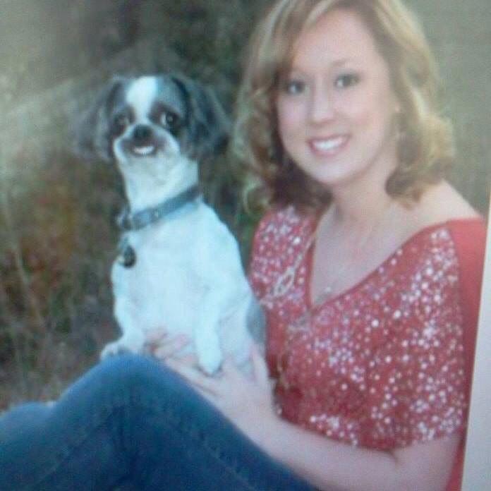 смешные собаки, нелепые собаки, собаки в нелепых ситуациях