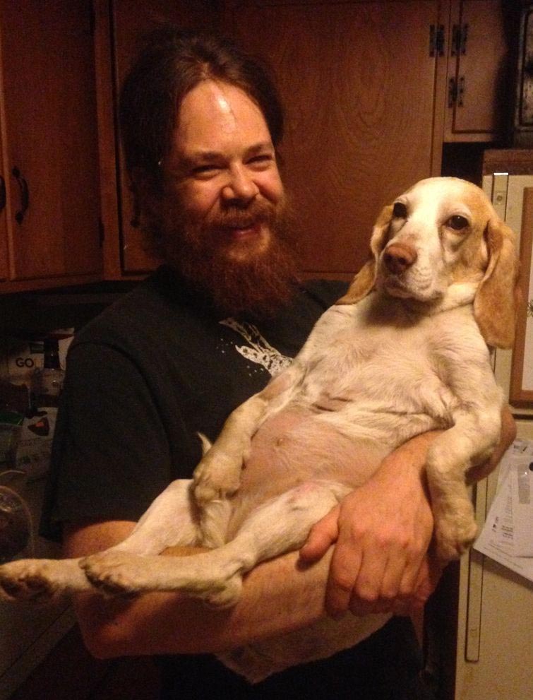 смешные собаки, нелепые собаки, собаки в нелепых ситуациях