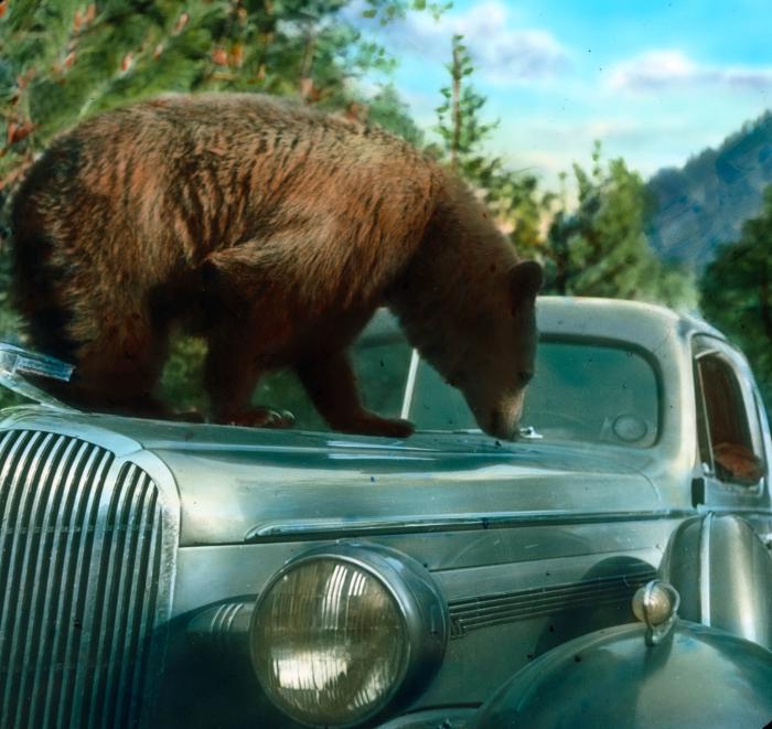 Исторические кадры, редкие архивные фотографии, исторические события, редкие фото звёзд