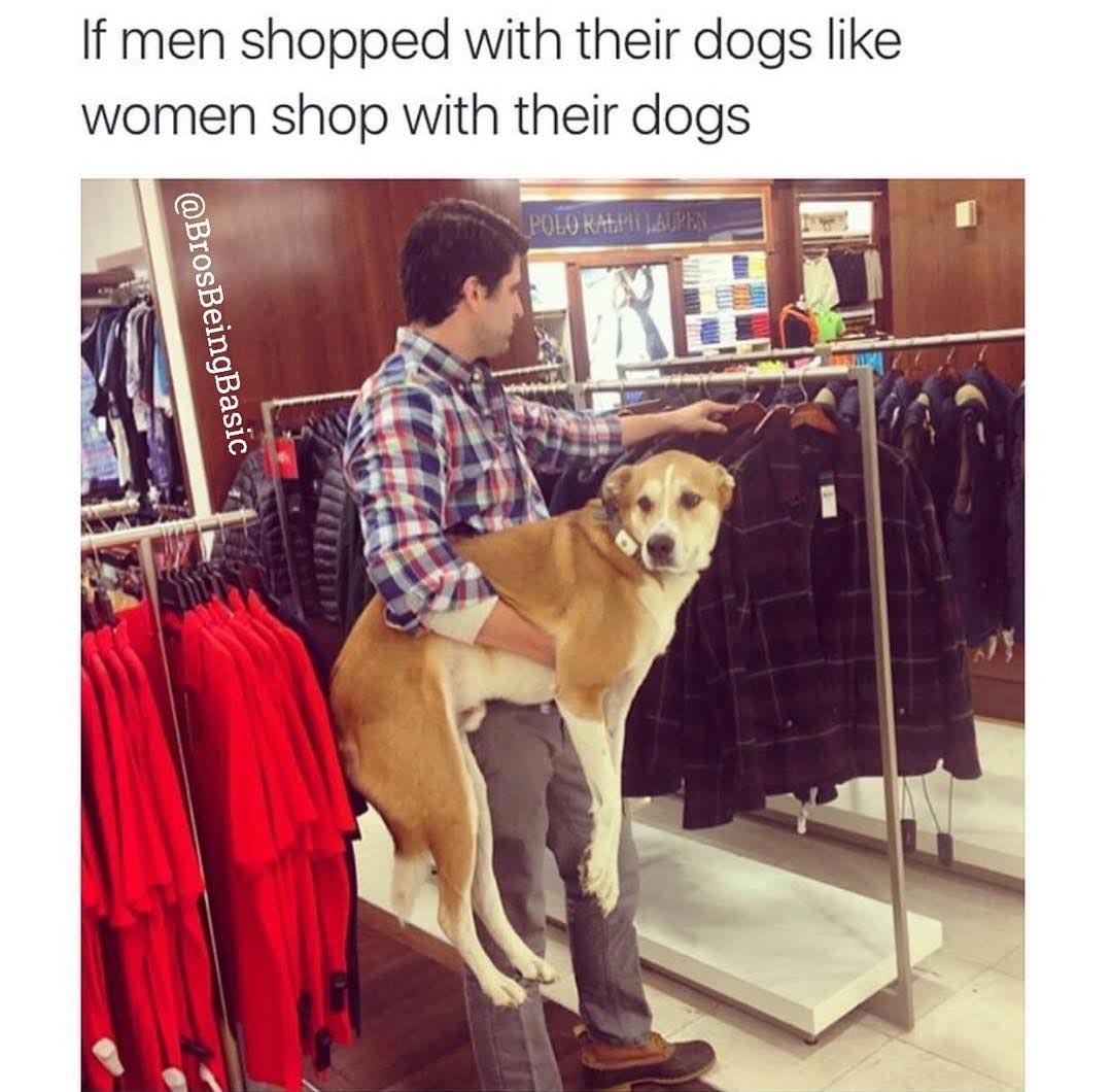 Bros Being Basic, пародируют типичные женские фото, пародии на женские фотографии