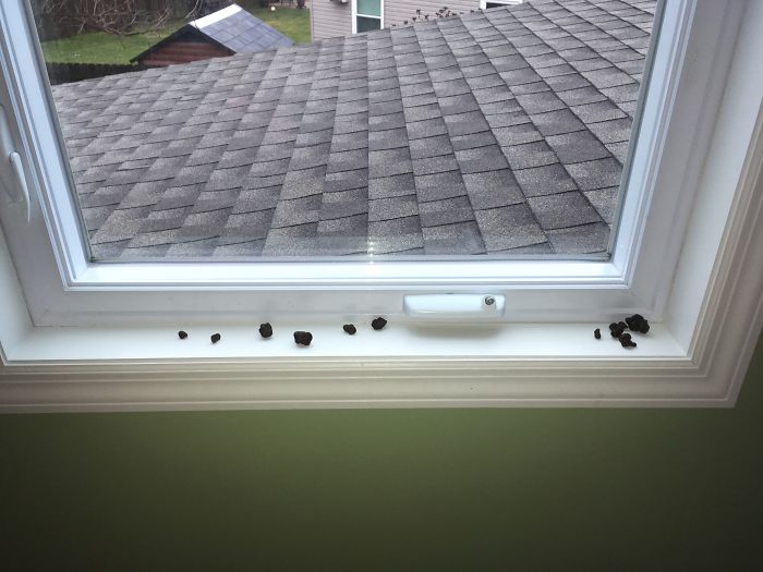 мама троих детей, каково иметь троих маленьких детей