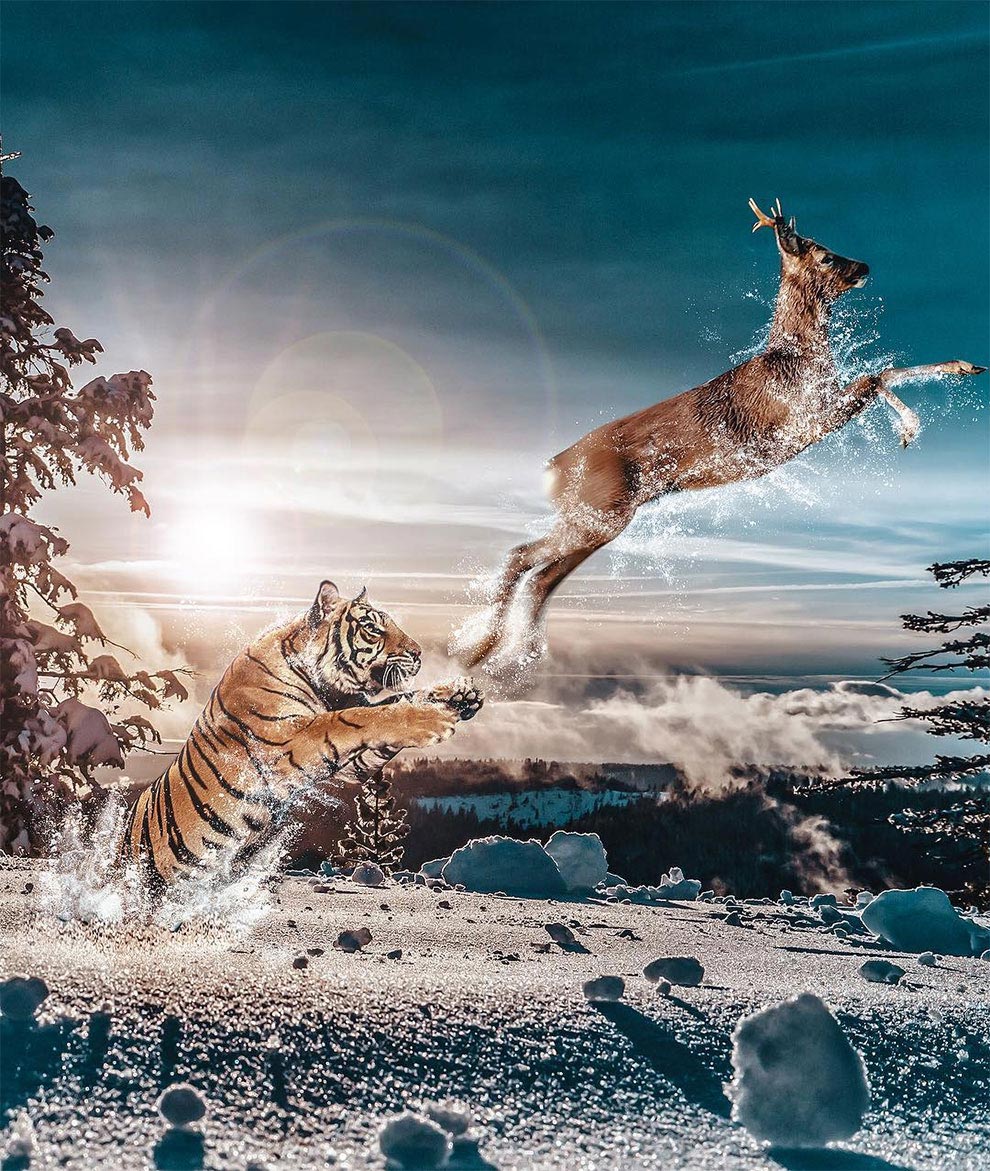 Хусейна Шахина, Hüseyin Şahin, Сюрреалистические коллажи , коллажи из реальных фотографий