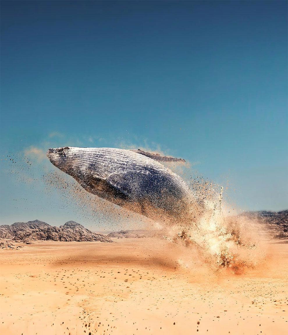 Хусейна Шахина, Hüseyin Şahin, Сюрреалистические коллажи , коллажи из реальных фотографий