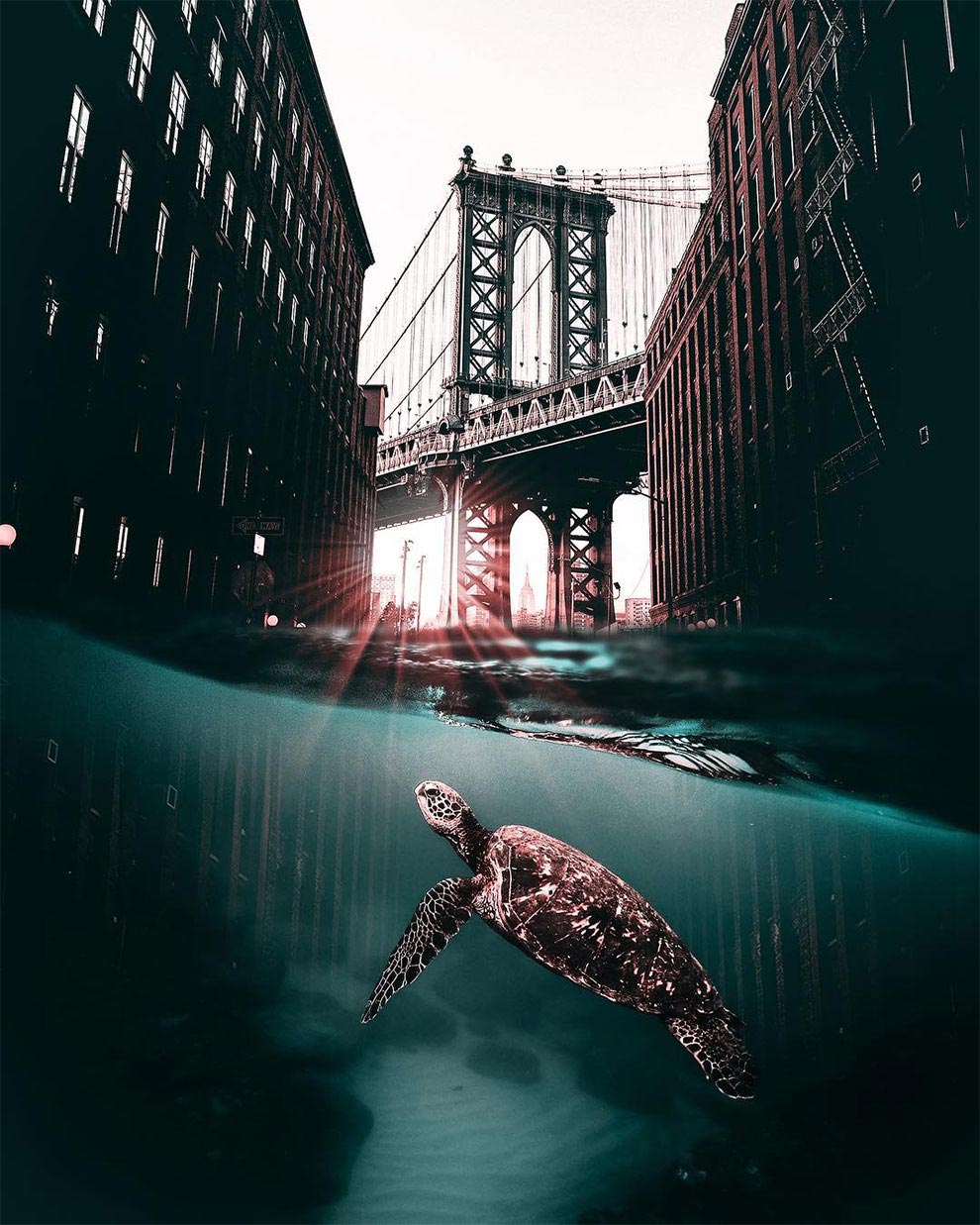 Хусейна Шахина, Hüseyin Şahin, Сюрреалистические коллажи , коллажи из реальных фотографий