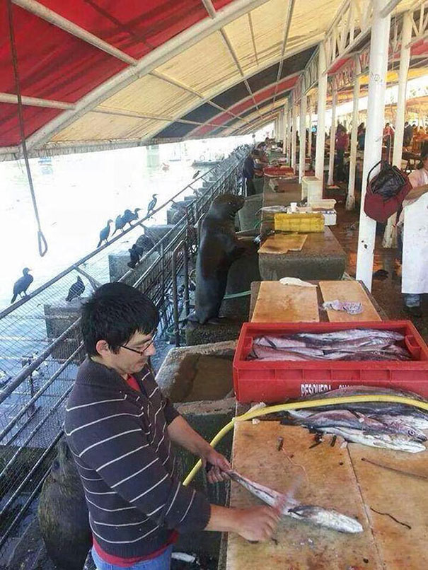 вещи замаскировавшиеся под другие, эти вещи здесь лишние 