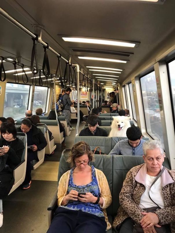 вещи замаскировавшиеся под другие, эти вещи здесь лишние 