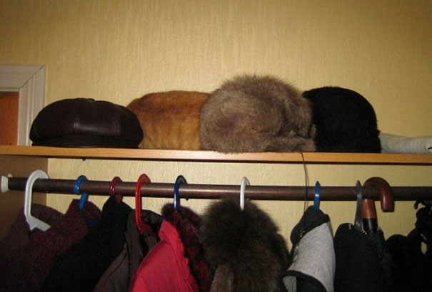 вещи замаскировавшиеся под другие, эти вещи здесь лишние 