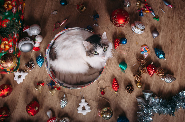 национальные особенности жителей Швеции, всё о Швеции