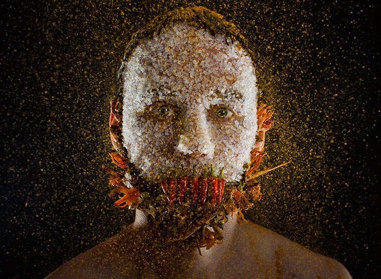 фотопроект Меню, ингредиенты блюд на лице, Роберт Харрисон, Robert Harrison, еда на лице