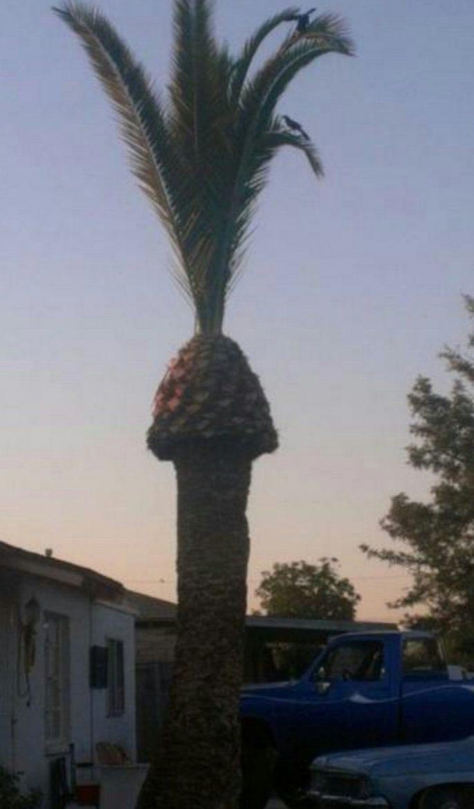 невинные фотографии кажутся пошлыми