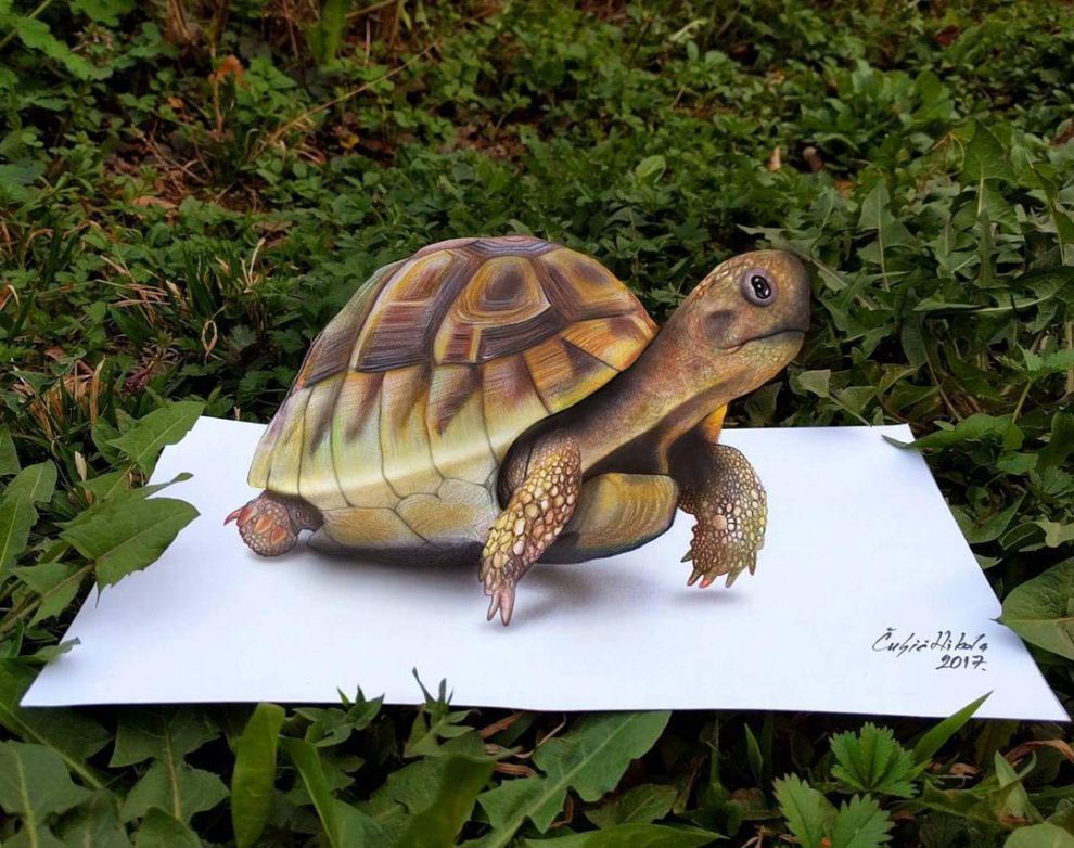 Никола Кулджик, Nikola Culjic, Гиперреалистичные 3D-рисунки, 3D-рисунки на бумаге