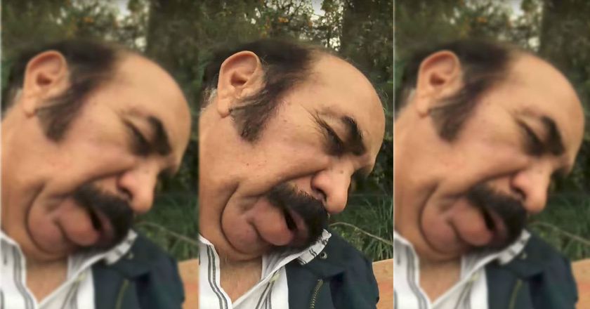 Despacito из храпа мужа, Despacito храп мужчины