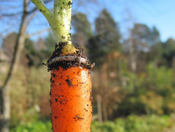 люди нашли потерянные вещи, нашли вещи через много лет