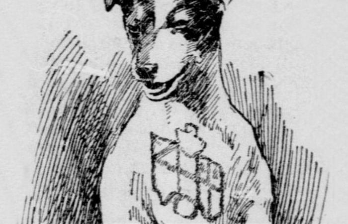 Алкоголь, как анестезия, гарантия супружеской верности и другие интересные факты о татуировках интересные факты о татуировках, Из истории татуировок