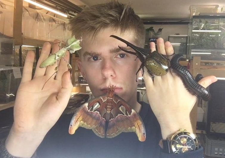 Адриан Козакевич, насекомые на лице, редкие экзотические насекомые, коллекция насекомых