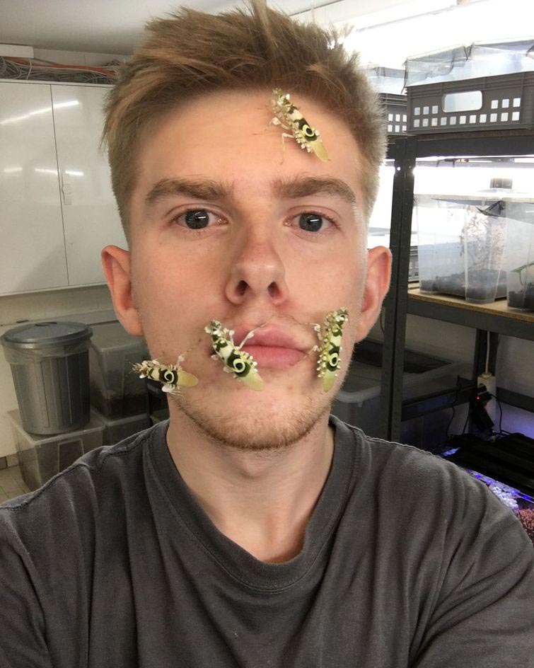 Адриан Козакевич, насекомые на лице, редкие экзотические насекомые, коллекция насекомых