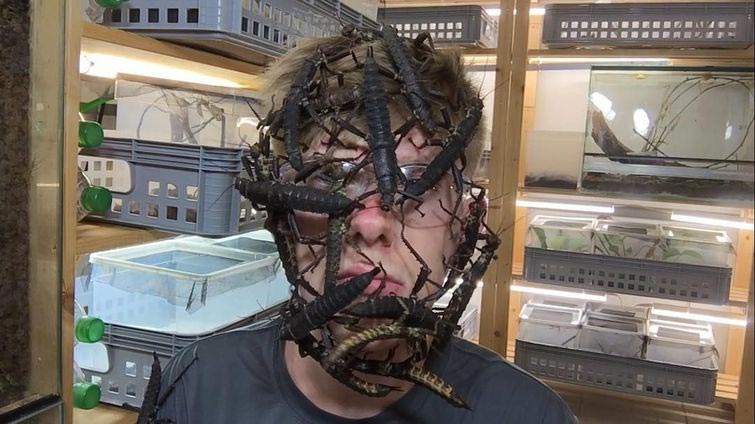 Адриан Козакевич, насекомые на лице, редкие экзотические насекомые, коллекция насекомых