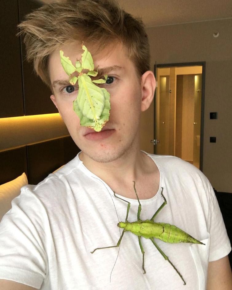 Адриан Козакевич, насекомые на лице, редкие экзотические насекомые, коллекция насекомых