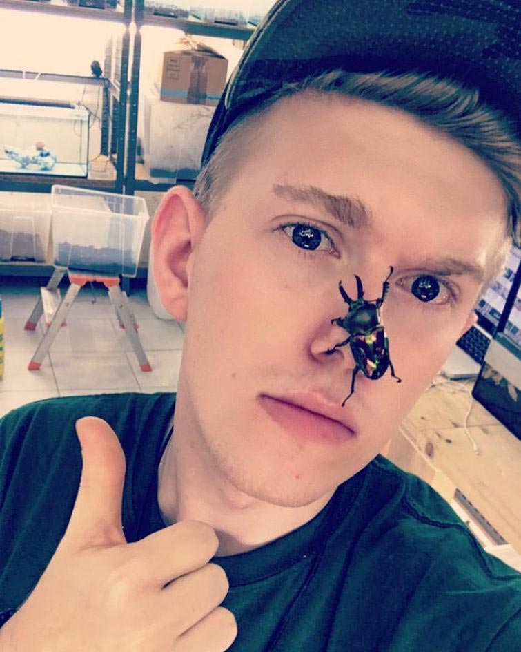 Адриан Козакевич, насекомые на лице, редкие экзотические насекомые, коллекция насекомых