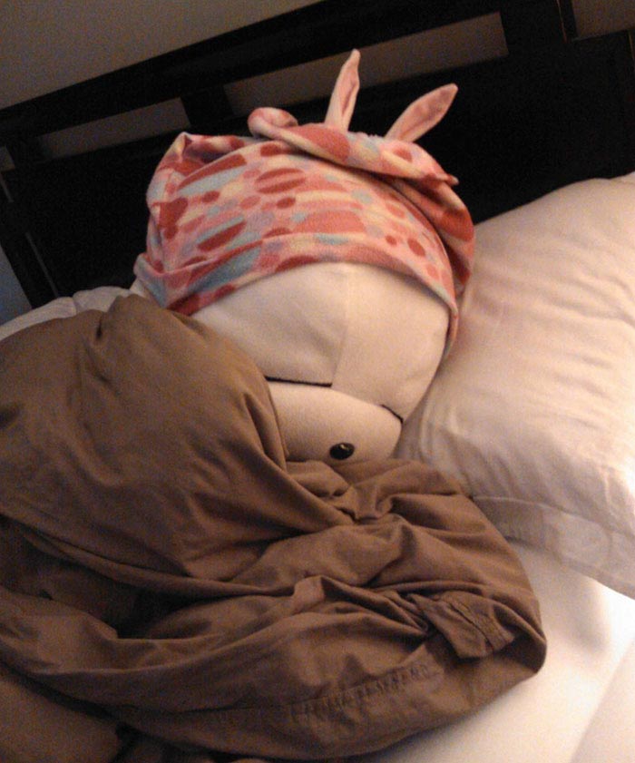 история мягкой игрушки, фотографии игрушек, девочка оставила игрушку