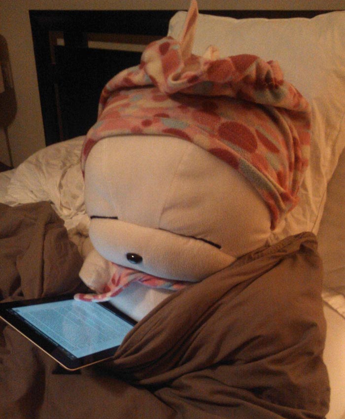 история мягкой игрушки, фотографии игрушек, девочка оставила игрушку