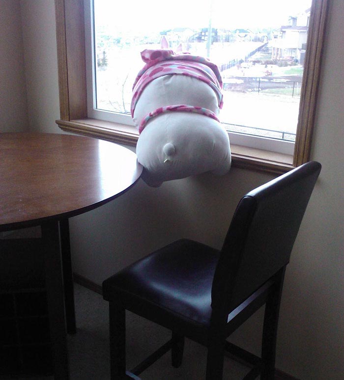 история мягкой игрушки, фотографии игрушек, девочка оставила игрушку